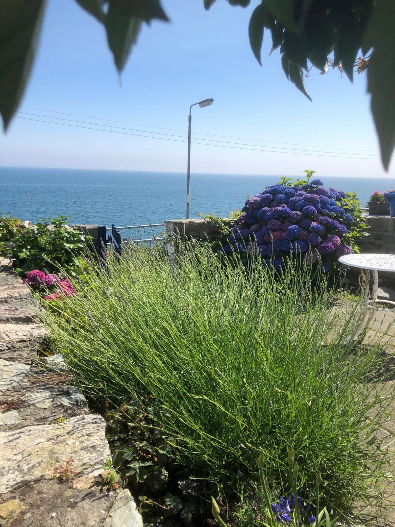 Slieve Donard Cottage Widows Row Cottages Newcastle  Ngoại thất bức ảnh